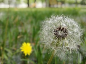 %e5%9c%a8%e7%94%9f%e5%91%bd%e7%9a%84%e6%9c%80%e5%be%8c%e6%95%b8%e6%9c%88%e8%a3%a1%ef%bc%8c%e4%bd%a0%e6%87%89%e8%a9%b2%e5%81%9a%e4%bb%80%e9%ba%bc